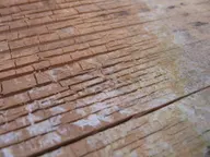 Close macro of cuboidal cracking on a Douglas fir board, with white mycelium threading through the cracks