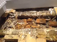 Lifted timber floor exposing destroyed joists, rubble and brick over a damp subfloor void